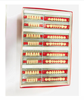Brulon Biorock VXL set of 28 Shade A3