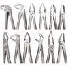 GDC Extraction Forceps Kit (Set Of 12) (EFSP12)