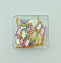 Denmax Plastic Dental Wedges Guard with Knife Assorted Autoclavables 50 pcs