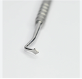 GDC Diamond Shape Daimond Shape Carver CVFR2