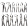 GDC Extraction Forceps S/12 Standard EFSP12