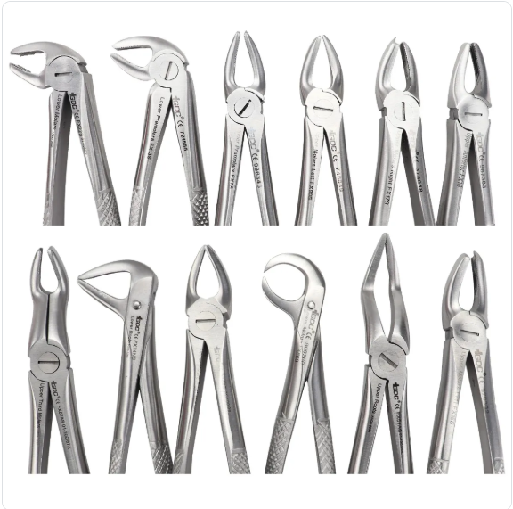 GDC Extraction Forceps S/12 Standard EFSP12