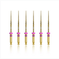 HDM Super Taper Files Gold NiTi Rotary System (Heat Activation) 25mm