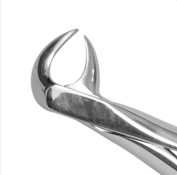 GDC Lower Cowhorn Forcep Standard FX86AS