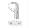GDC Lower Cowhorn Forcep Standard FX86AS