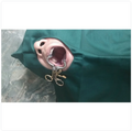 GDC Mouth Gag Molt Large 140mm