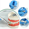 HDM Dental Polishing Discs With Rivets Kit