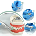 HDM Dental Polishing Discs With Rivets Kit