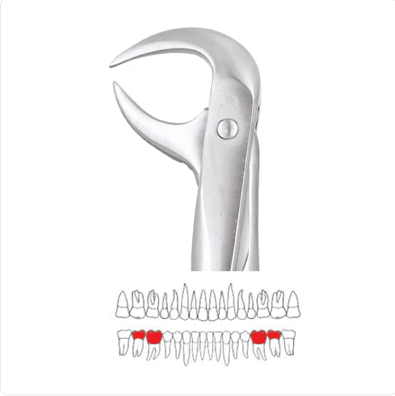 GDC Lower Cowhorn Forcep Standard FX86BS