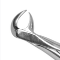 GDC Lower Cowhorn Forcep Standard FX86BS
