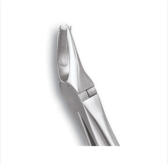 GDC Upper Cowhorn Forcep Right STD FX89S